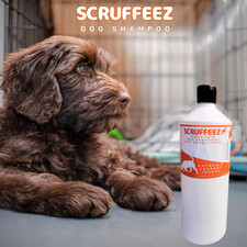 1000ml Premium Oatmeal Best